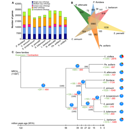 1658920675628825.png 5.png